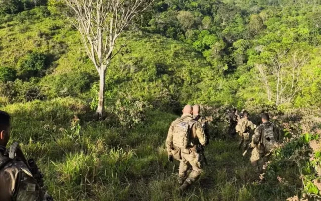 Cacique é preso e pf apreende arsenal em novas operações sobre conflitos no sul da bahia