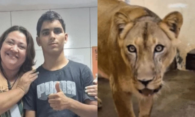 Jovem atacado por leoa morreu de choque hemorrágico após mordida no pescoço, afirma iml