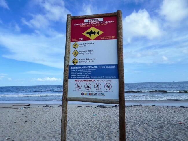 Adolescente morre após ser mordido por tubarão em praia de pernambuco
