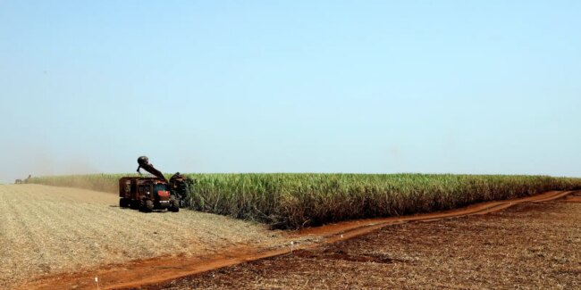 Ibge prevê safra recorde de 346 milhões de toneladas em 2025