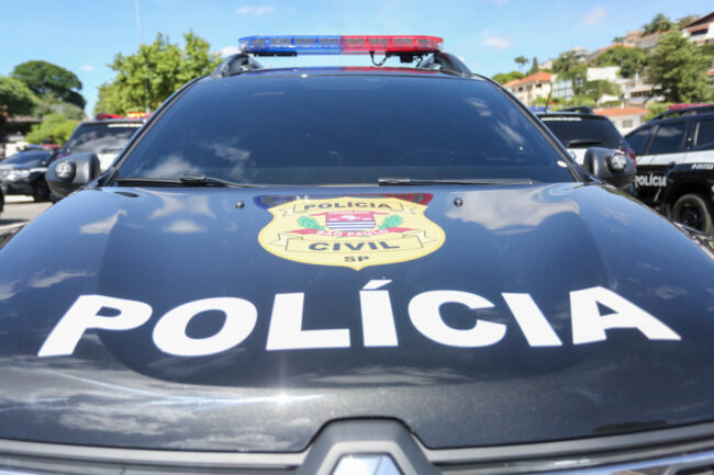 Polícia resgata 41 cobras e mais de 200 ovos; animais eram enviados pelos correios