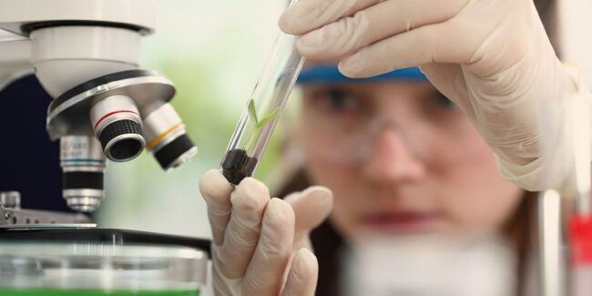 Observatório lança edital do programa meninas cientistas do on