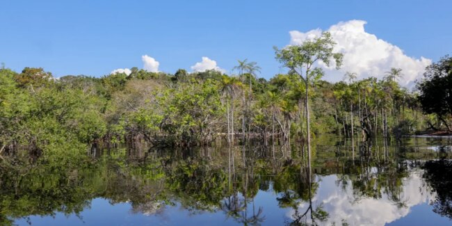 Governo levantou r$ 179 bi desde 2023 para transição ecológica