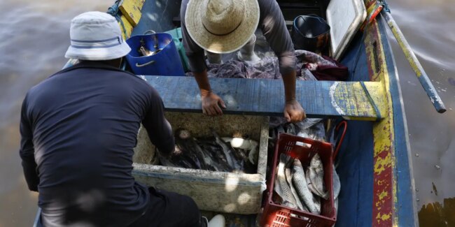 Pescadores beneficiados pelo seguro-defeso recebem 6º lote nesta terça