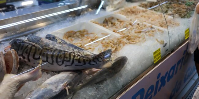 Vigilância sanitária orienta sobre compra de pescado na semana santa