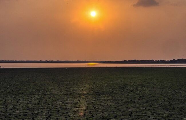 Super el niño a caminho? veja os riscos para o brasil, segundo especialistas