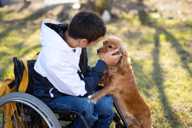 Os cães que ajudam pessoas com tea a enfrentar o mundo