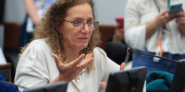 Parlamentares governistas vão aos eua apresentar contraponto à direita