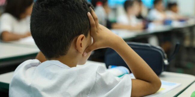 Censo escolar 2026: coleta de dados da 1ª etapa termina nesta sexta