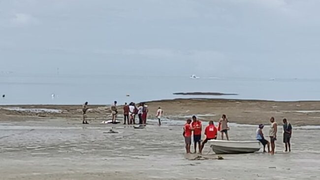 Corpo de mulher é encontrado na praia de madre de deus – imprensa bahia