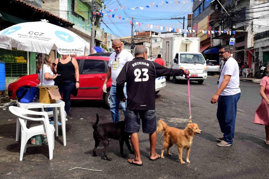 Dia d da campanha antirrábica leva vacinação gratuita para bairros e shoppings de salvador neste fim de semana – prefeitura municipal de salvador