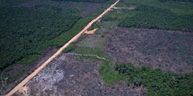 Eco invest brasil promove quinto leilão para financiar inovação