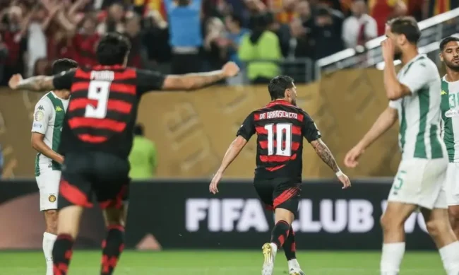 Flamengo lidera audiência no brasileirão e dispara em acessos na flashscore no primeiro semestre