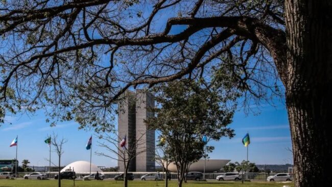 Leia a íntegra do projeto que aumenta punição a crimes sexuais on-line