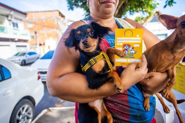Madre de deus realiza campanha nacional de vacinação antirrábica para cães e gatos – imprensa bahia