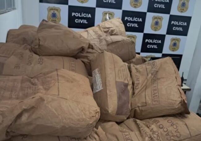 Polícia civil recupera mais de 2,8 toneladas de pó de cacau furtadas após acidente na br-415