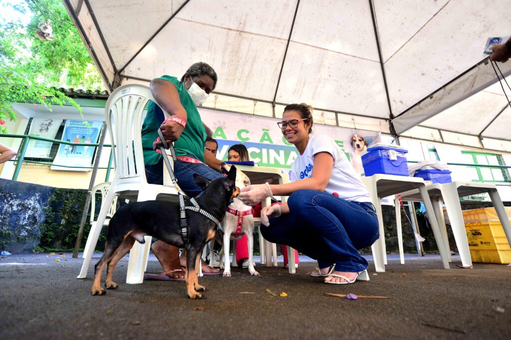 Campanha de vacinação antirrábica em salvador entra na reta final; veja onde vacinar seu pet – prefeitura municipal de salvador