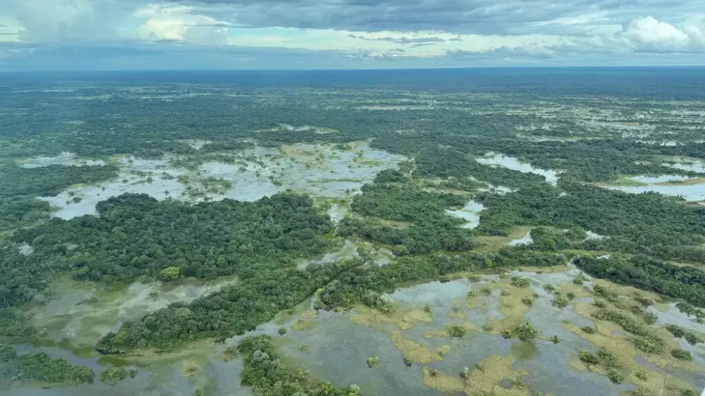 Tve exibe o documentário ‘pantanal