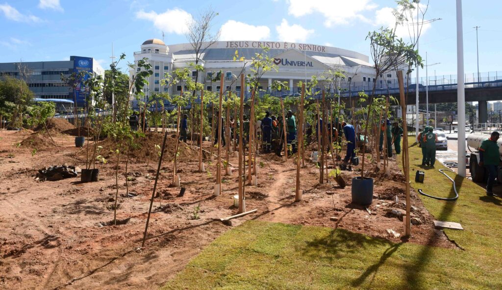 Salvador ganha microfloresta com 3,6 mil árvores em área de 5 mil m² na avenida acm – prefeitura municipal de salvador